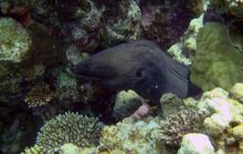 Hurghada - kwiecień 2007