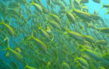 Hurghada - kwiecień 2007