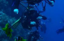 Safari St. Johns + Wraki - maj 2007