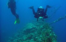 Safari St. Johns + Wraki - maj 2007