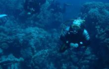 Safari St. Johns + Wraki - maj 2007