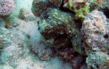 Safari St. Johns + Wraki - maj 2007