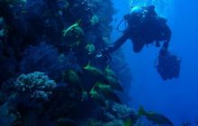 Safari St. Johns + Wraki - maj 2007