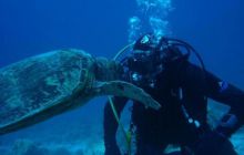 Safari St. Johns + Wraki - maj 2007