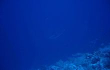 Safari St. Johns + Wraki - maj 2007