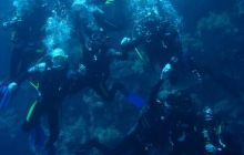 Safari St. Johns + Wraki - maj 2007