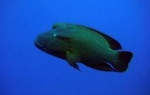 Safari St. Johns + Wraki - maj 2007