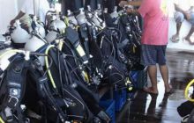 Safari St. Johns + Wraki - maj 2007