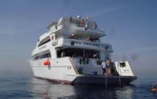 Safari St. Johns + Wraki - maj 2007