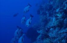 Safari St. Johns + Wraki - maj 2007