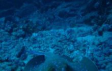 Safari St. Johns + Wraki - maj 2007