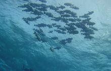 Safari St. Johns + Wraki - maj 2007