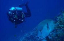 Safari St. Johns + Wraki - maj 2007