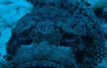 Safari St. Johns + Wraki - maj 2007