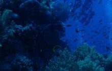 Safari St. Johns + Wraki - maj 2007