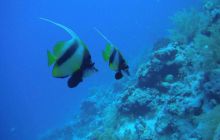 Safari St. Johns + Wraki - maj 2007