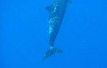 Safari St. Johns + Wraki - maj 2007