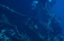 Safari St. Johns + Wraki - maj 2007