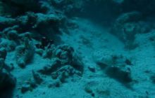 Safari St. Johns + Wraki - maj 2007