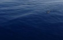 Safari St. Johns + Wraki - maj 2007