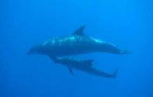 Safari St. Johns + Wraki - maj 2007