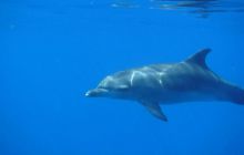 Safari St. Johns + Wraki - maj 2007