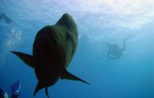 Safari St. Johns + Wraki - maj 2007