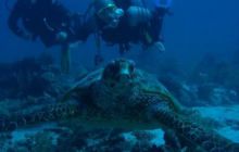 Safari St. Johns + Wraki - maj 2007