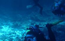 Safari St. Johns + Wraki - maj 2007