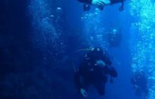 Safari St. Johns + Wraki - maj 2007