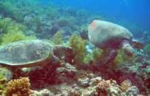 Safari St. Johns + Wraki - maj 2007