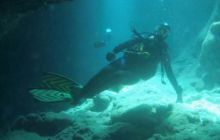 Safari St. Johns + Wraki - maj 2007