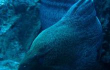 Safari St. Johns + Wraki - maj 2007