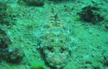 Safari St. Johns + Wraki - maj 2007