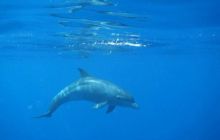 Safari St. Johns + Wraki - maj 2007