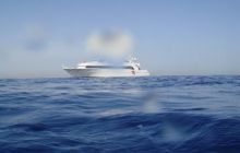 Safari St. Johns + Wraki - maj 2007