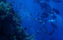 Safari St. Johns + Wraki - maj 2007