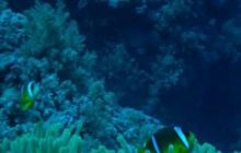 Safari St. Johns + Wraki - maj 2007