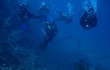 Safari St. Johns + Wraki - maj 2007