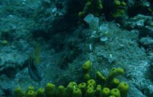 Chorwacja - sierpień 2007