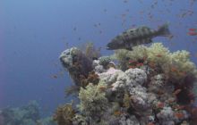 Safari wraki - październik 2007