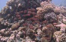 Safari wraki - październik 2007