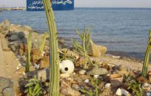 Safari wraki - październik 2007