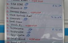 Safari wraki - październik 2007