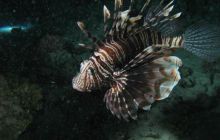 Safari wraki - październik 2007