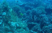 Safari wraki - październik 2007