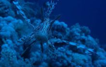 Safari wraki - październik 2007