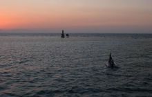 Safari wraki - październik 2007