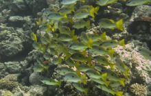 Safari wraki - październik 2007