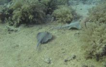 Safari wraki - październik 2007